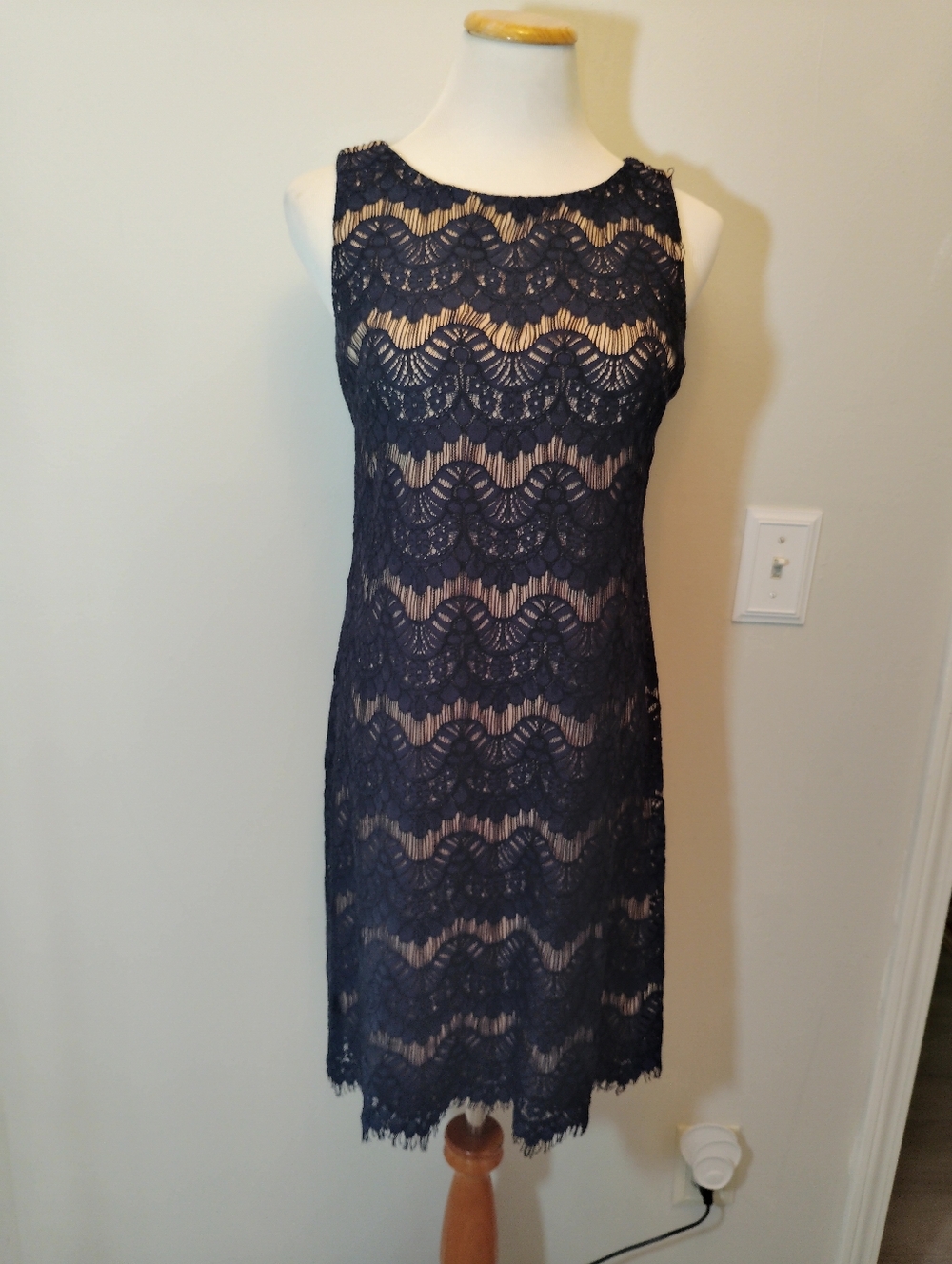 Eliza J Women's Navy Lace Sheath Dress EUC